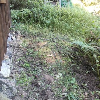 作業後（小屋側面、右手がメイン通路）
