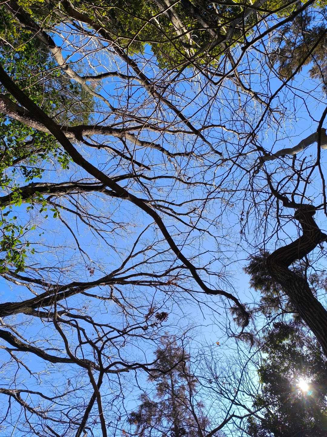 今日は、ほんとにいい天気☀