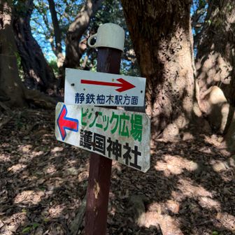 ピストンではなく、全部歩く事にしました。
ピクニック広場方面へ