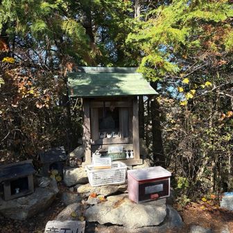 　　　竜王山山頂　標高223.2m

涸沢峰から間違えて激下り💦激上り返してしんどいから😩ここでお昼休憩🍙😋