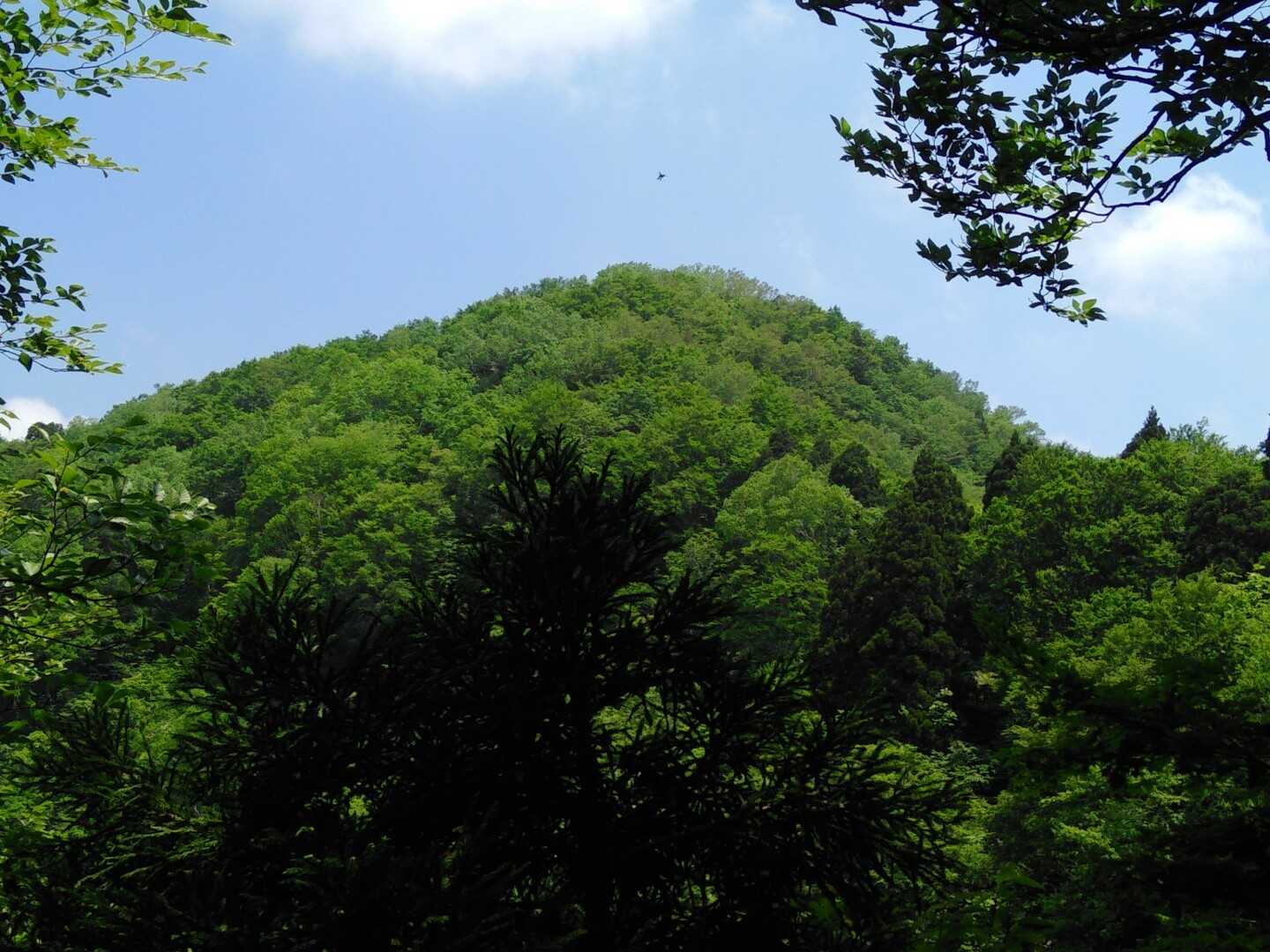 大辻山の写真