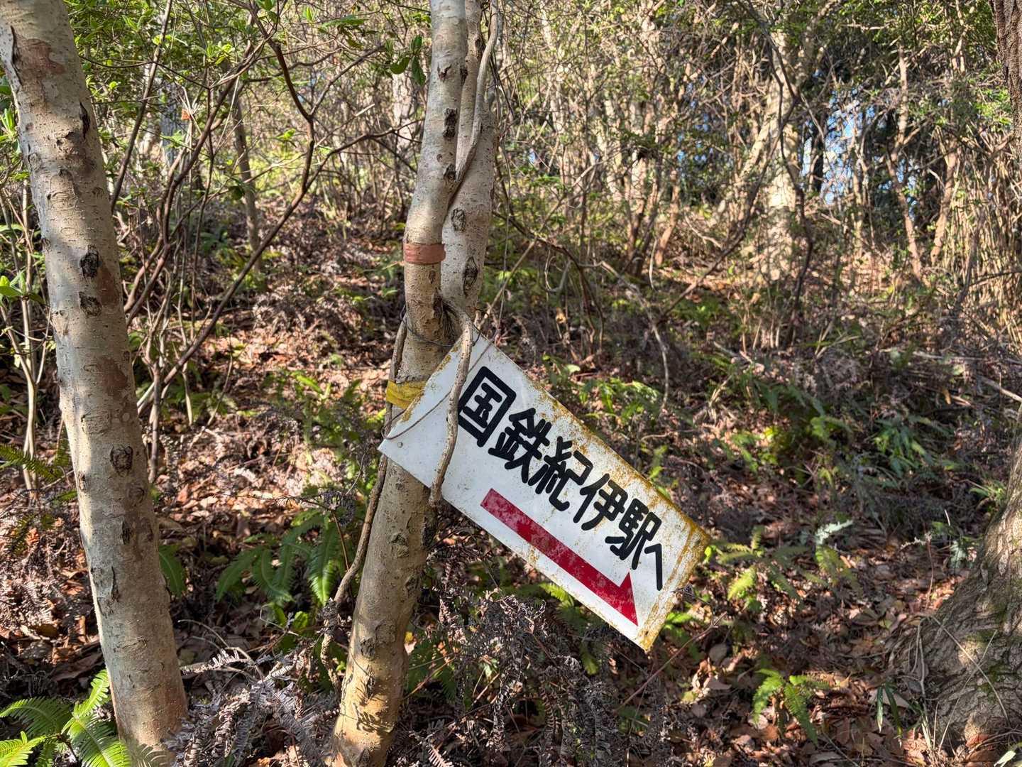 存分にお喋りと🥩を楽しんで下山