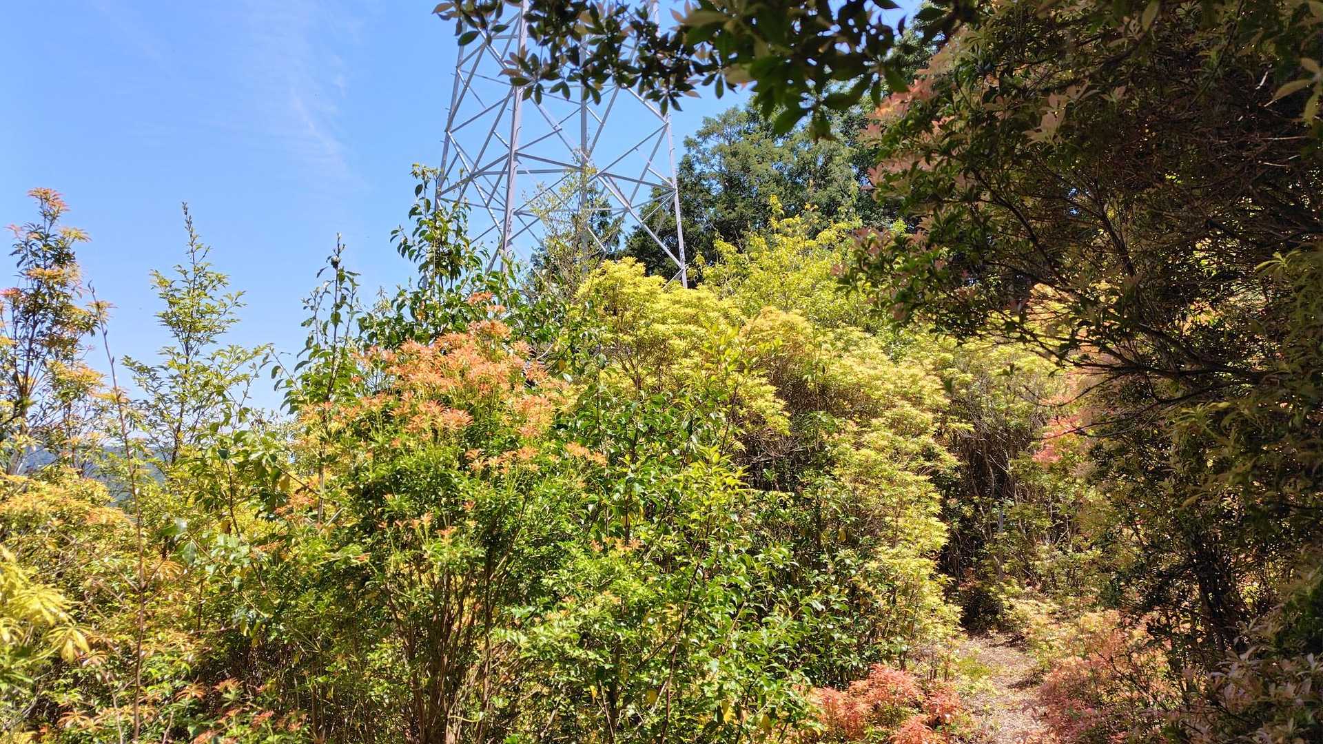 ６番鉄塔まで戻ってきた