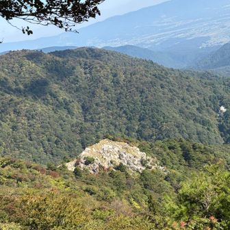 ちょっと離れた所から段木を見る