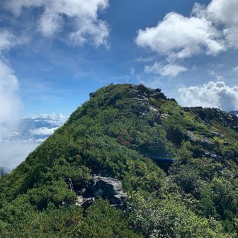 山頂見えました