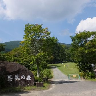 三次あたりは霧の中でしたがいい天気です。