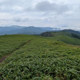 今までにはないパターンの山歩き