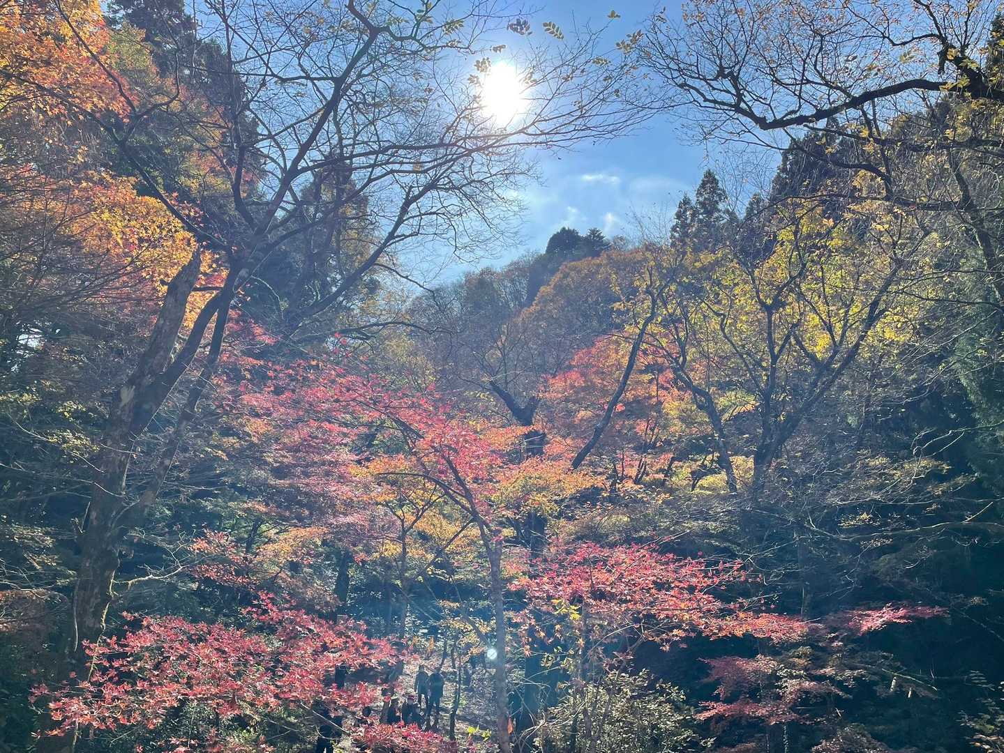 ☀️🍁人も多くなってきました😅