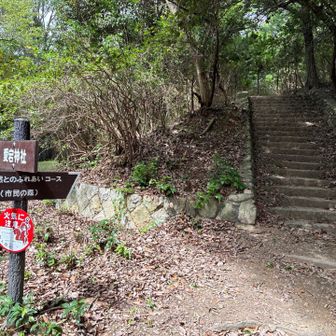 右手の階段登ります