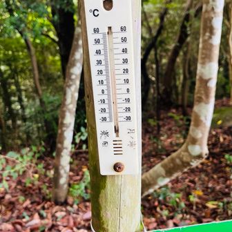 山頂の気温は23度。稜線上は終始水無鍾乳洞入口みたいな冷風が吹き続け、春秋シーズンに近いパフォーマンスで身体が動きました