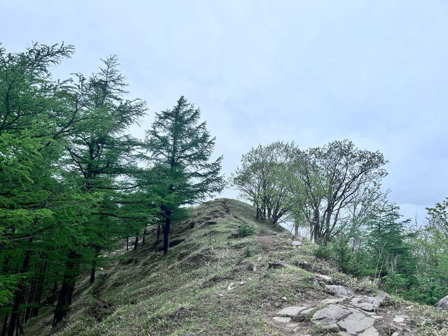半月山-半月峠-中禅寺山-阿世潟峠-社山 往復コースの写真