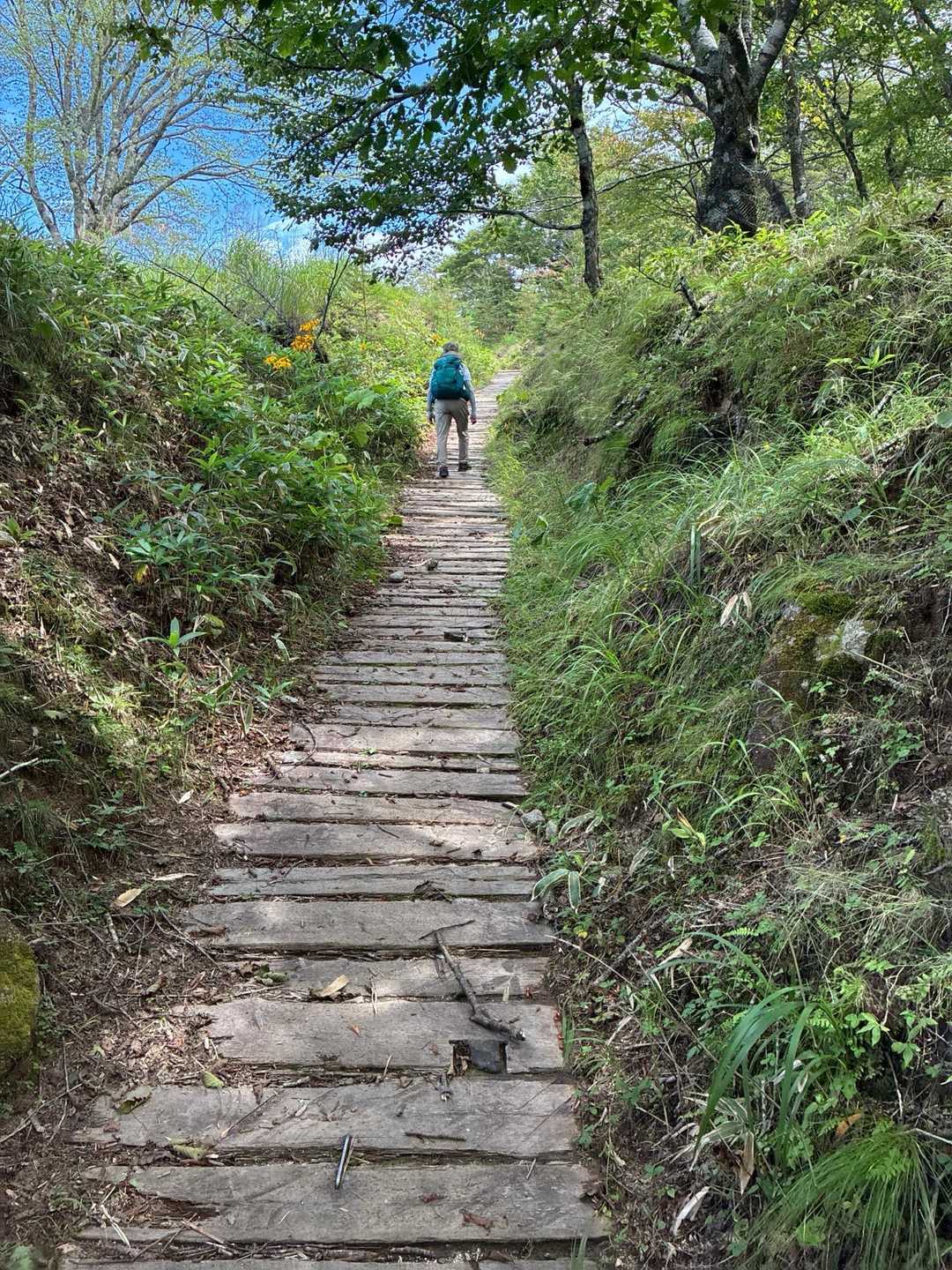 道も整備されています。高尾山みたいです。