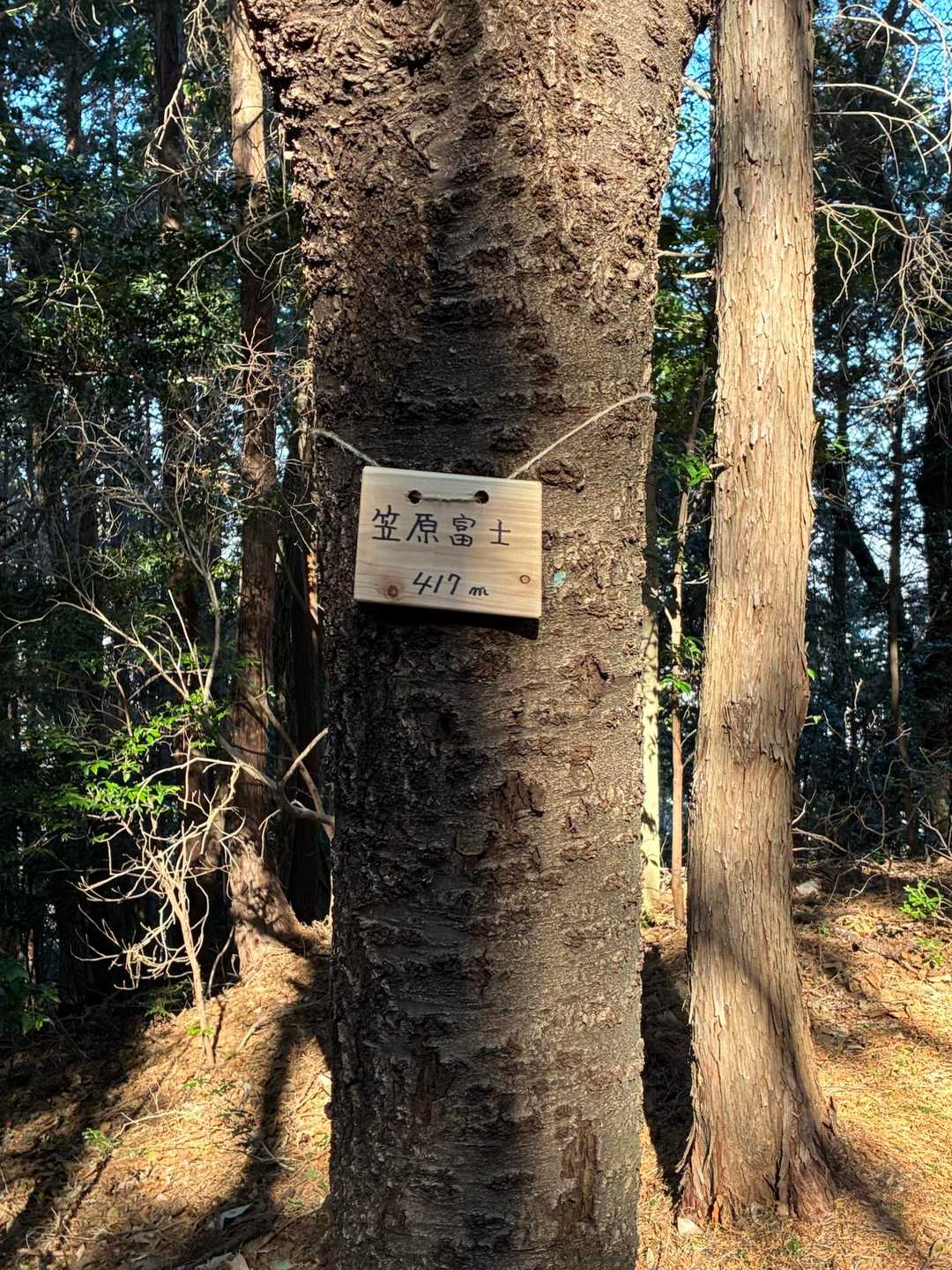 意外にも山頂の表示は地味
