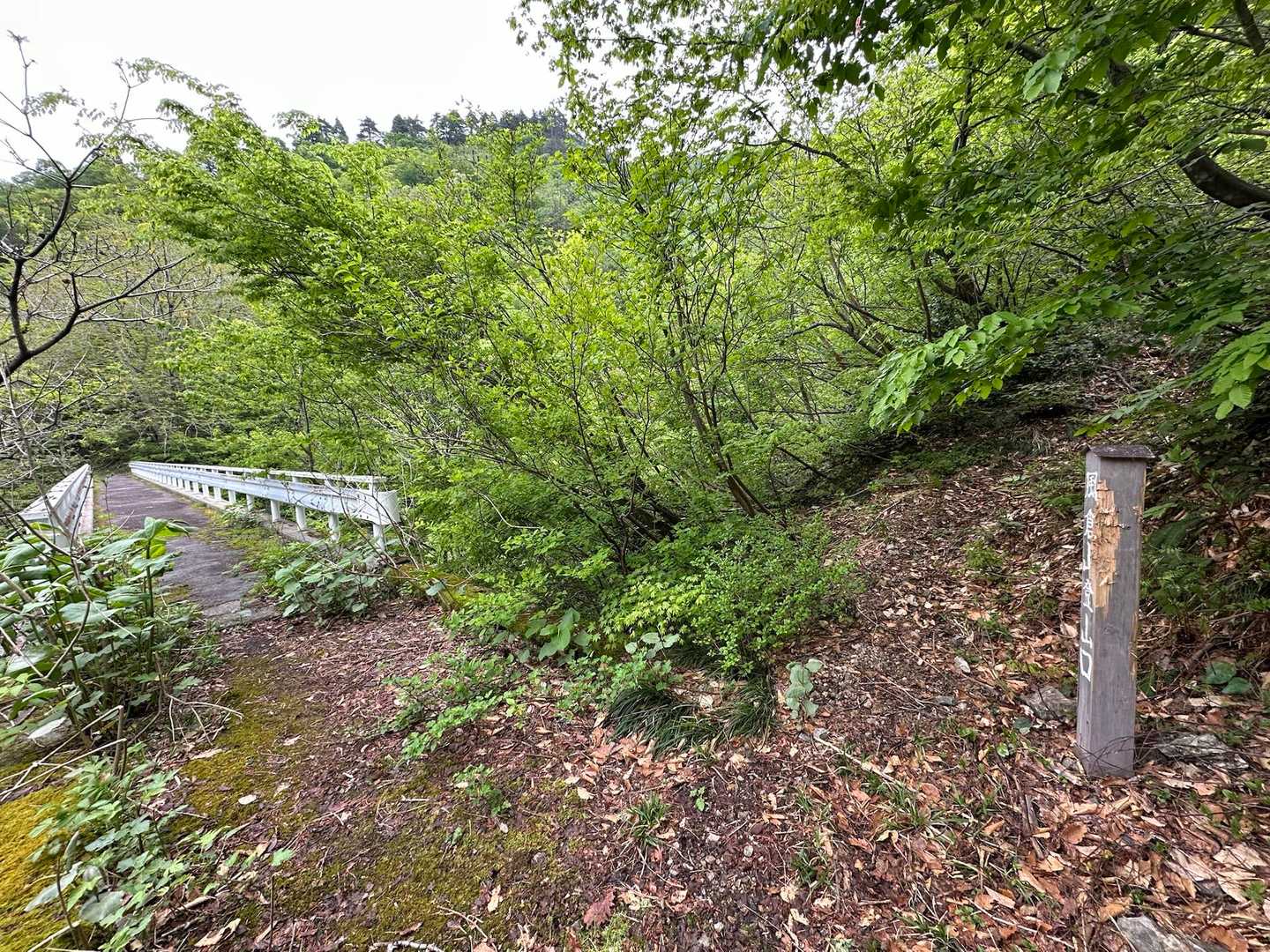 4km程歩いてようやく登山口