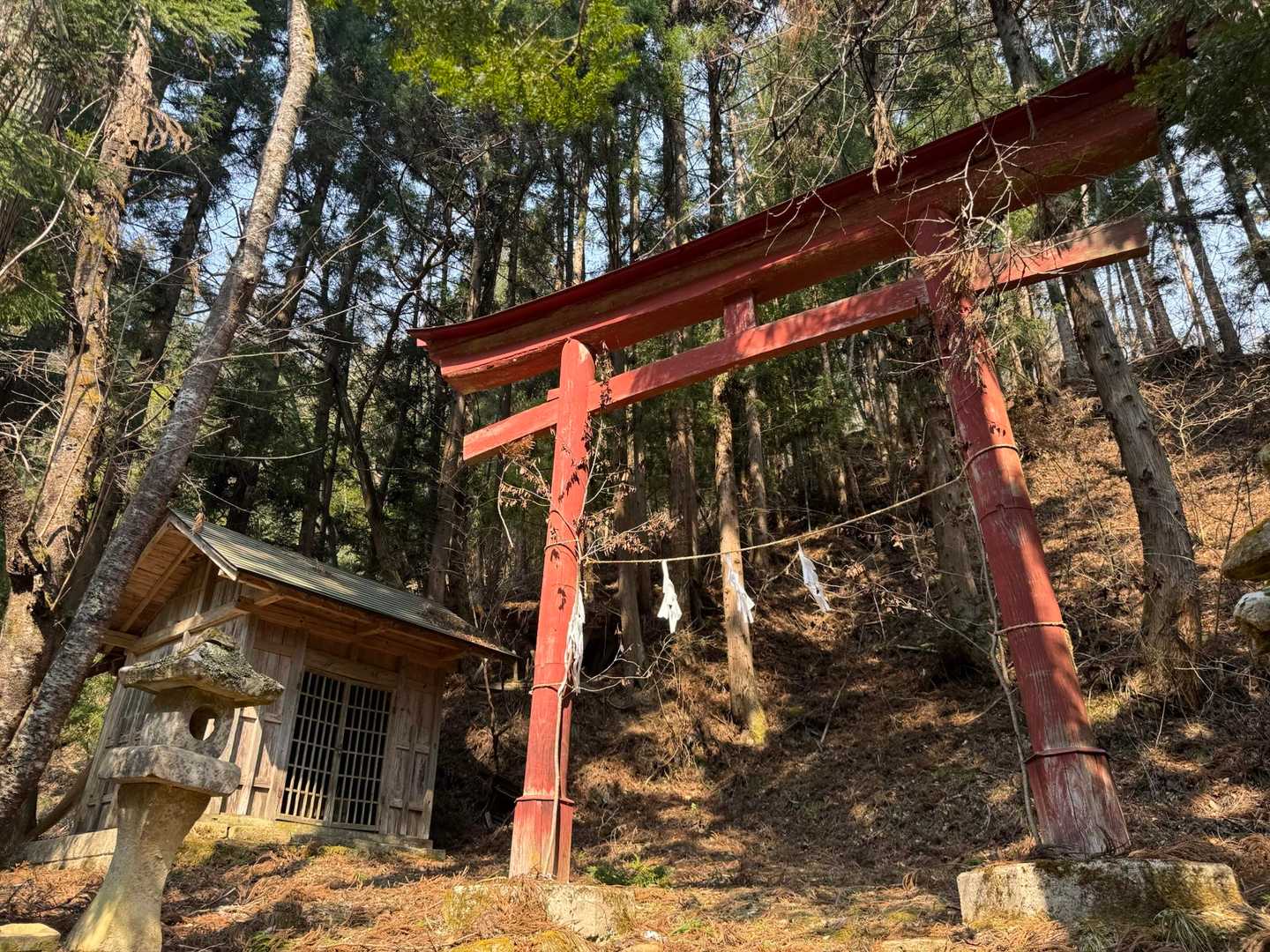 スタート地点付近