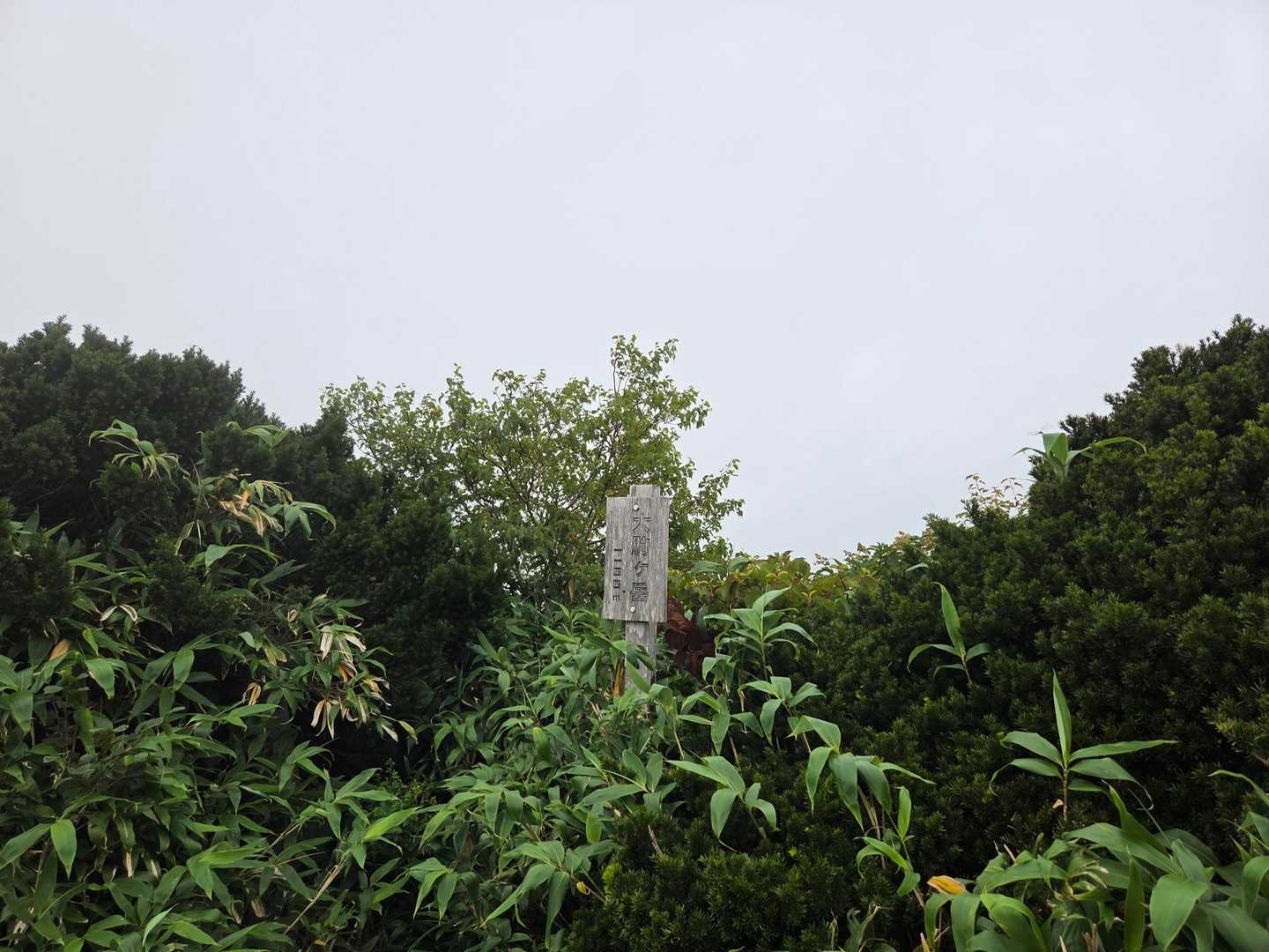 再びの大駒ヶ岳山頂は雲の中で真っ白☁️
後はひたすら下山しました