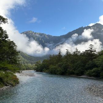 橋からの景色