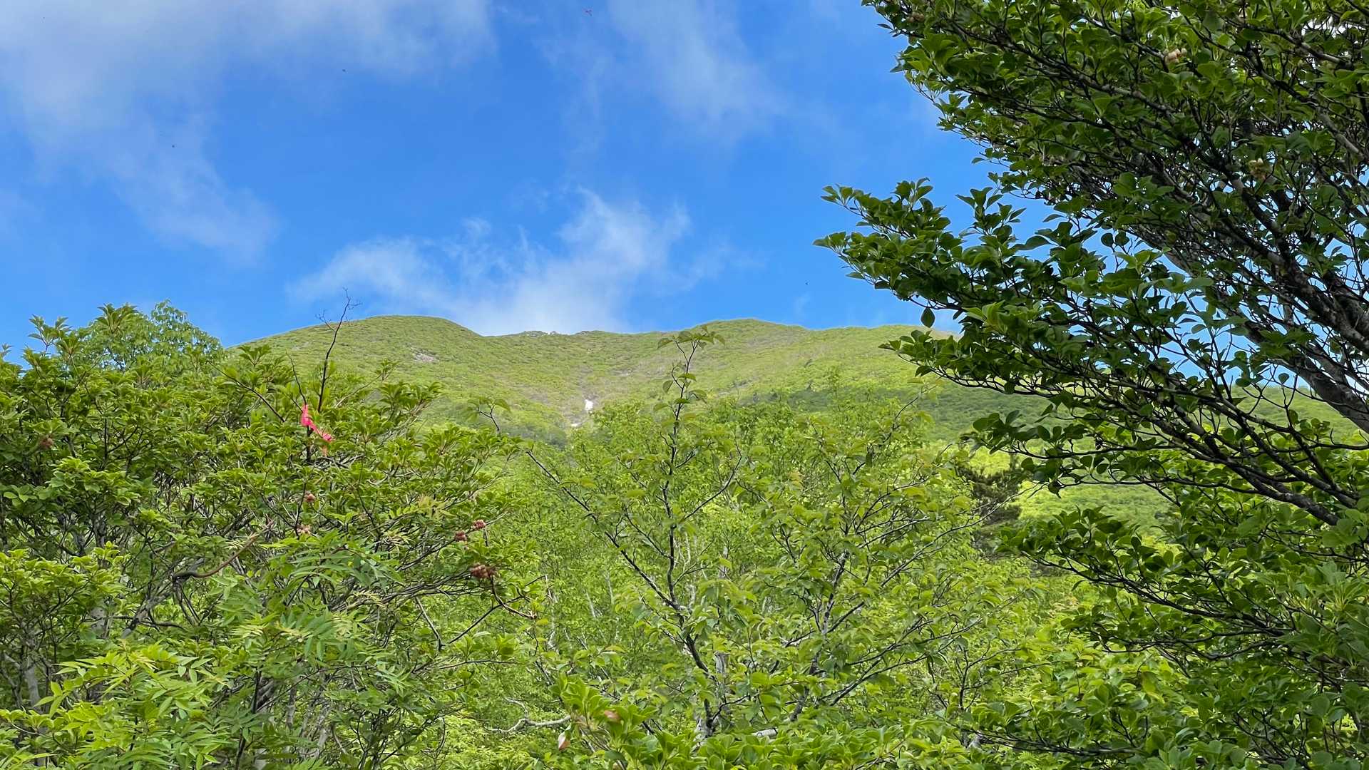 白石女子校小屋跡-不忘山 往復コースの写真