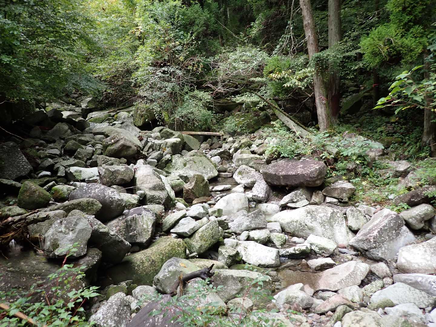 山口登山口-山口越-三国山-国見山 周回コースの写真