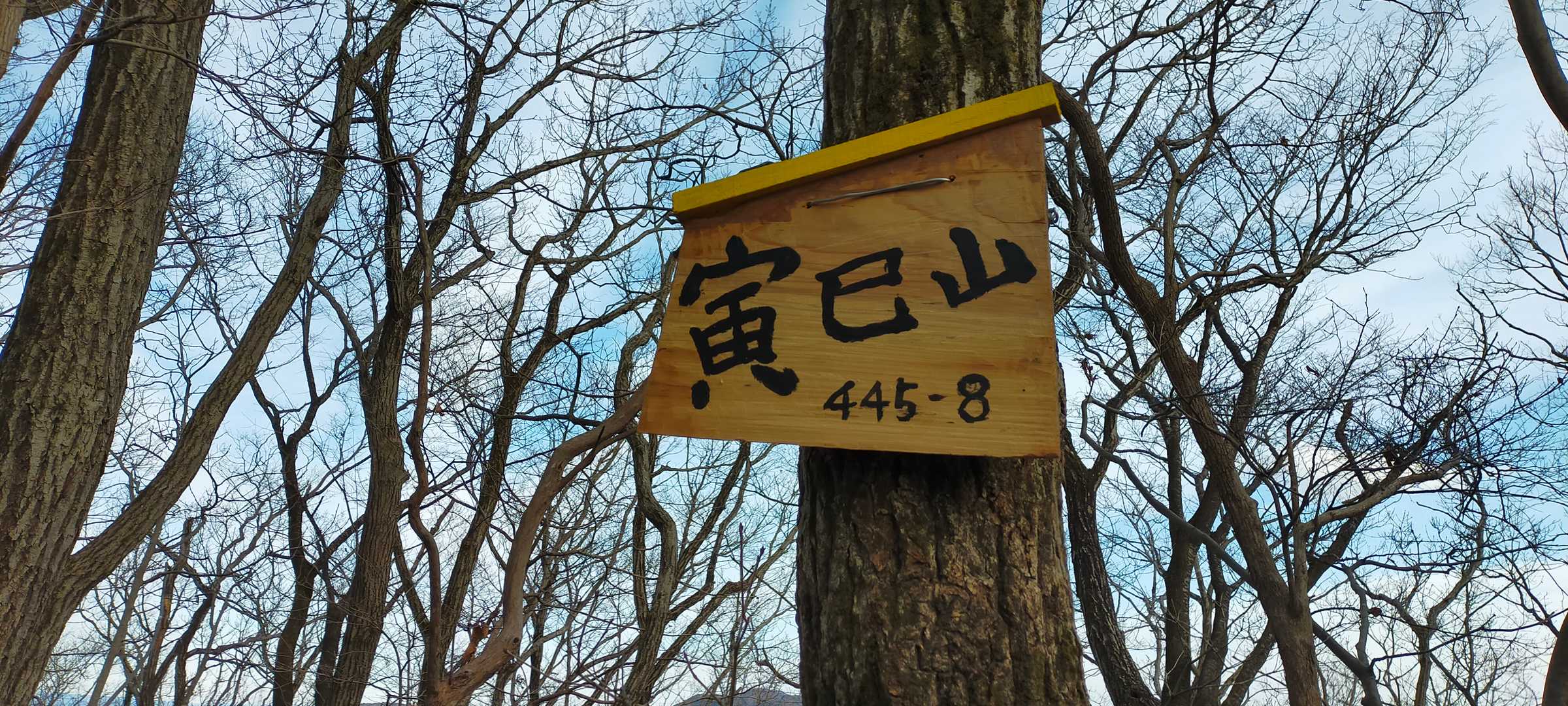 こっちの山名板は新しくてかわいい！
裏みたら 令和四年一月 って書いてありました！ついこないだ設置されたのですね！今年は寅年で登山者が多いからかな。。。

カバー写真にしちゃいましょう(^_^)/