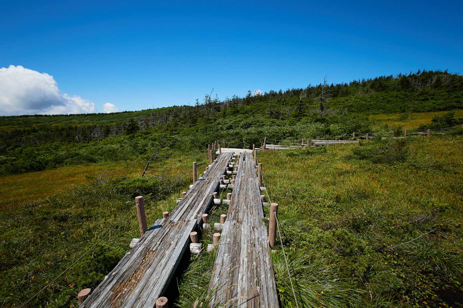 刈田峠-前山-杉ヶ峰-屏風岳 往復コースの写真