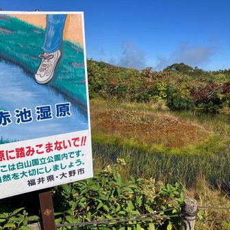 赤池湿原
お花の季節はどんなのが咲くだろ🌸
