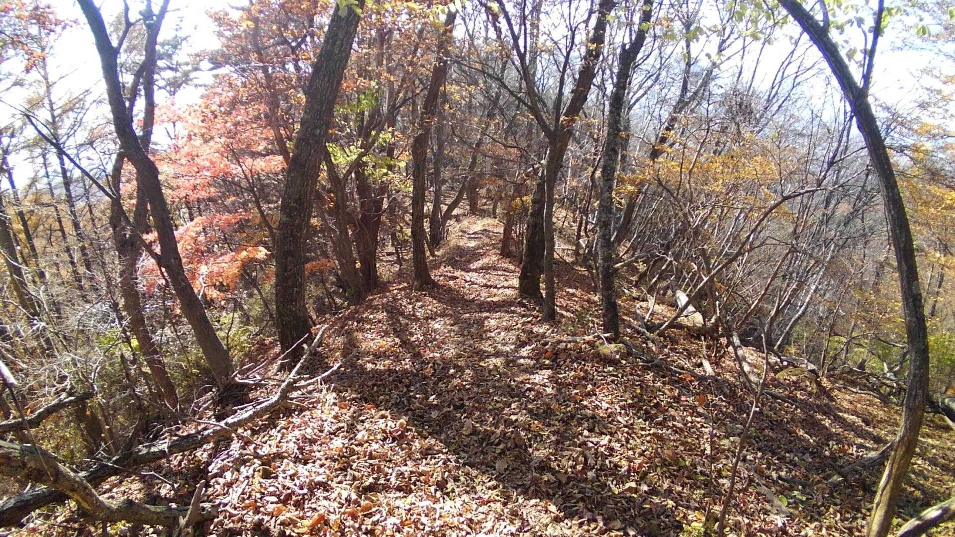 腰痛に落ち葉の下山はきつい