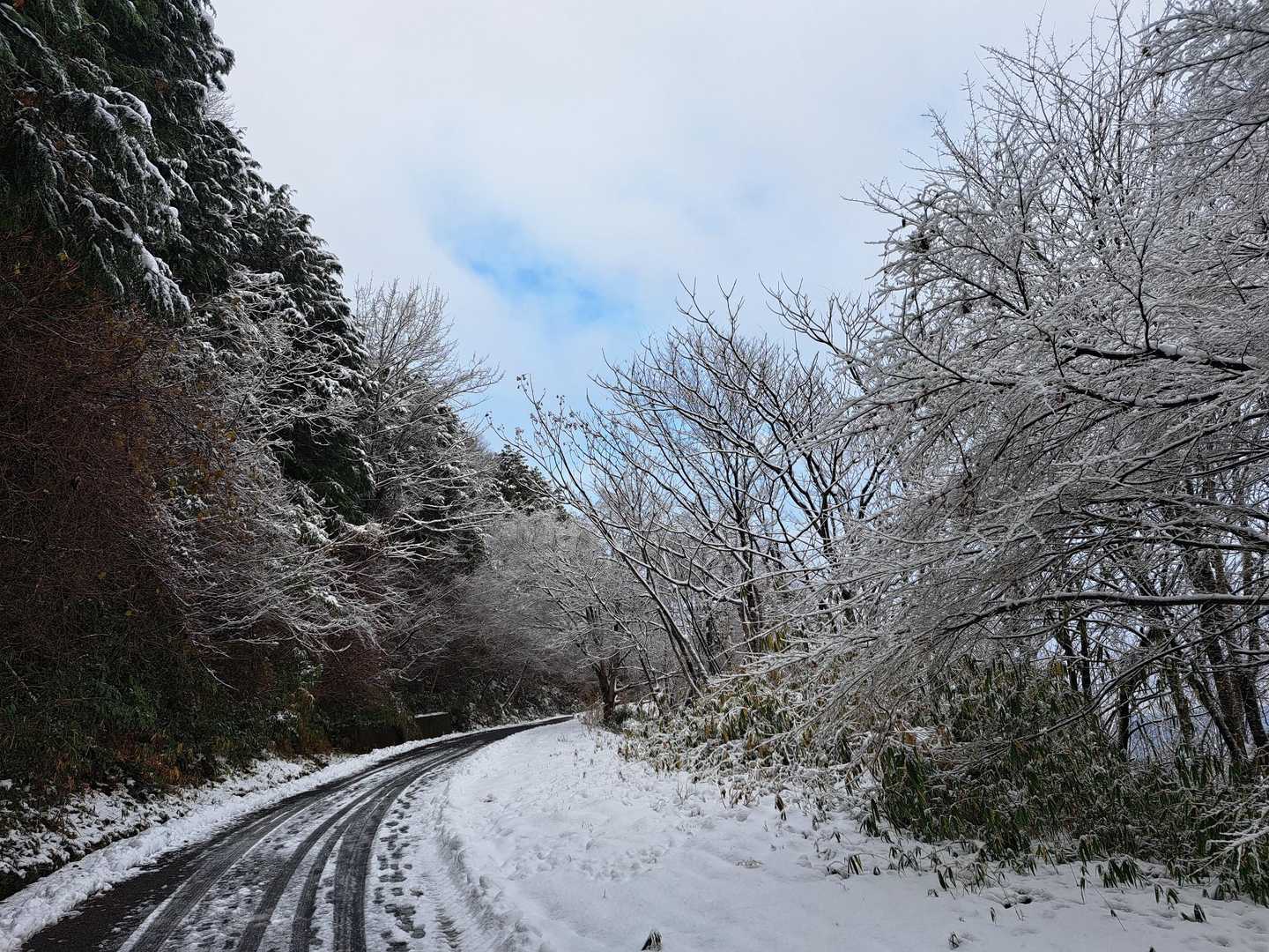寒いけど、ウキウキ🎶