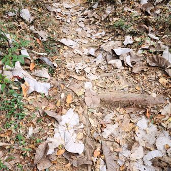 ティッシュをまきちらした？