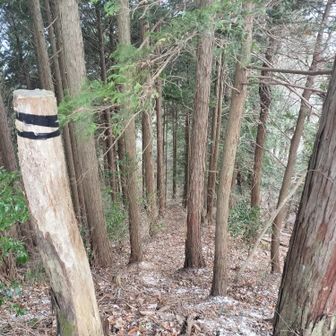 飯盛山の脇から烏峰に向けて下ってみます。