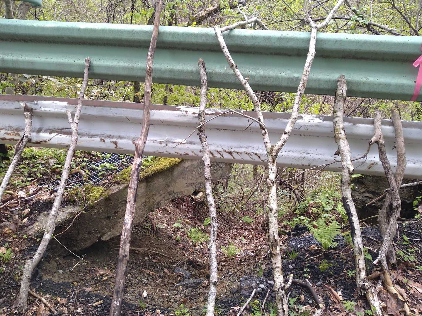道路が崩壊してます