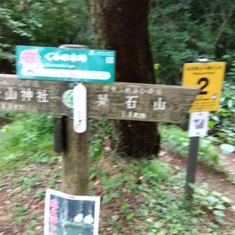 再び駐車場からの、ぐみの木峠
ふた首め⛰️⛰️