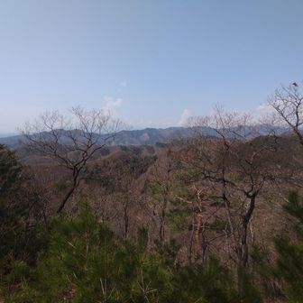 桐生アルプス
鳴トンなんて無理だぁ～
