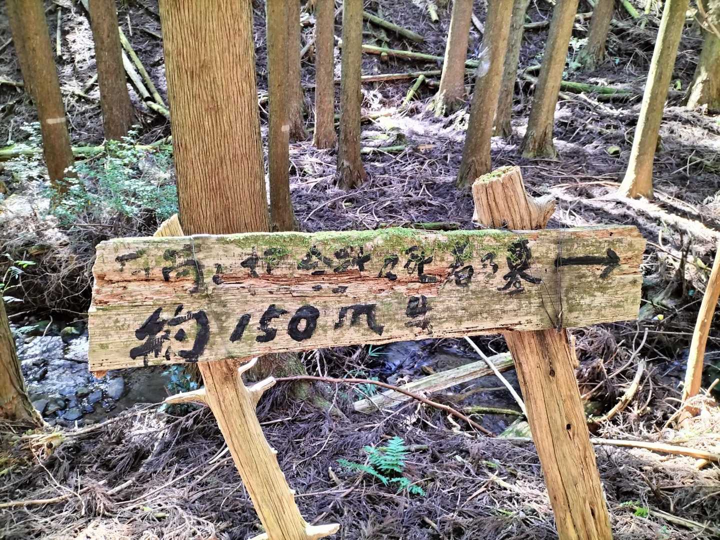 
なんて書いてあるかは分からないけど、最後の死者乃墓🪦は読める
