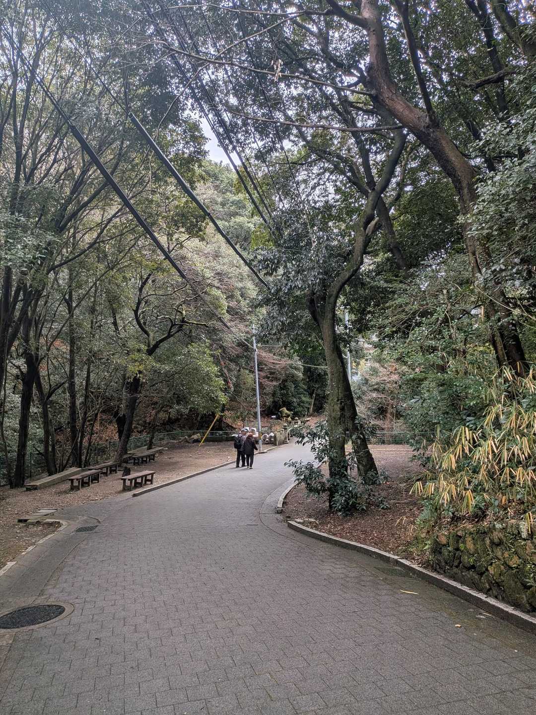 清荒神駅-清澄寺 往復コースの写真