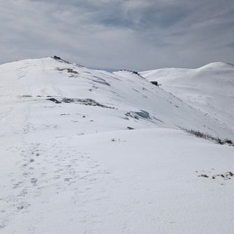 🐢でひと足ずつ前へ