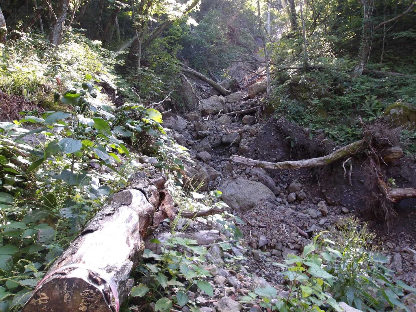 この辺で右岸に乗り上げました。