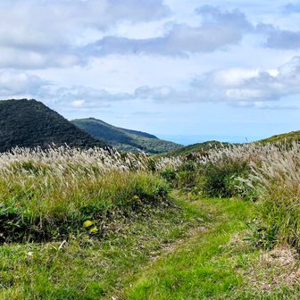 竜王山からの眺め🌾✨
立烏帽子山  比婆山
 毛無山もみえてます。