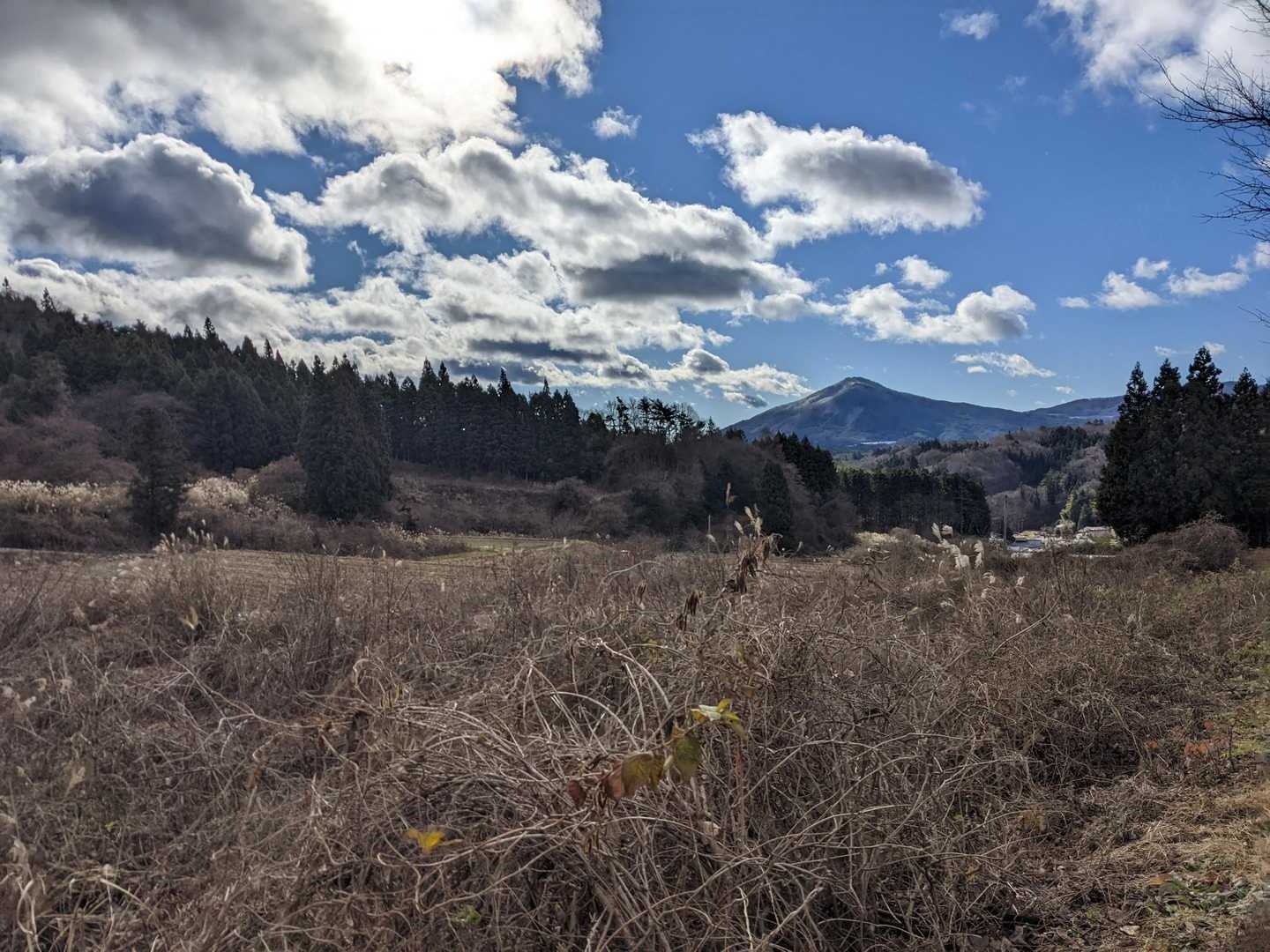 一盃山 往復コースの写真