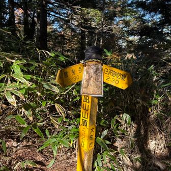 大凪山到着
ここからしばらくは歩きやすい