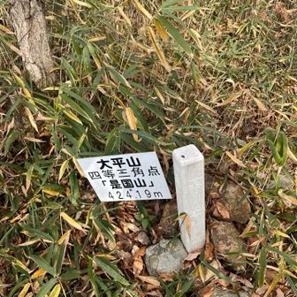 大平山三角点、眺望ありません。