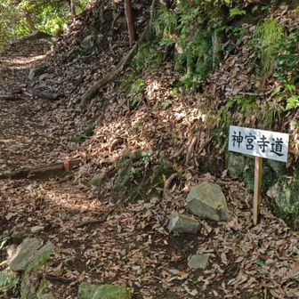 牛奥宮神社・三宮神社から先は神宮寺道を進む。