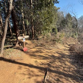 太郎坊には左の細い道に入ります