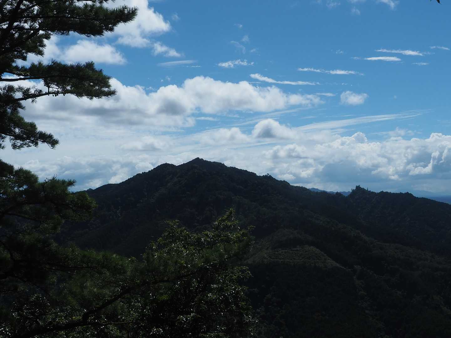南登山口-霊山 往復コースの写真