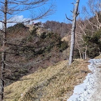 小雲取山を越えると、お、避難小屋が見えた！あとちょっとだ！（※ぜんぜんちょっとじゃない）