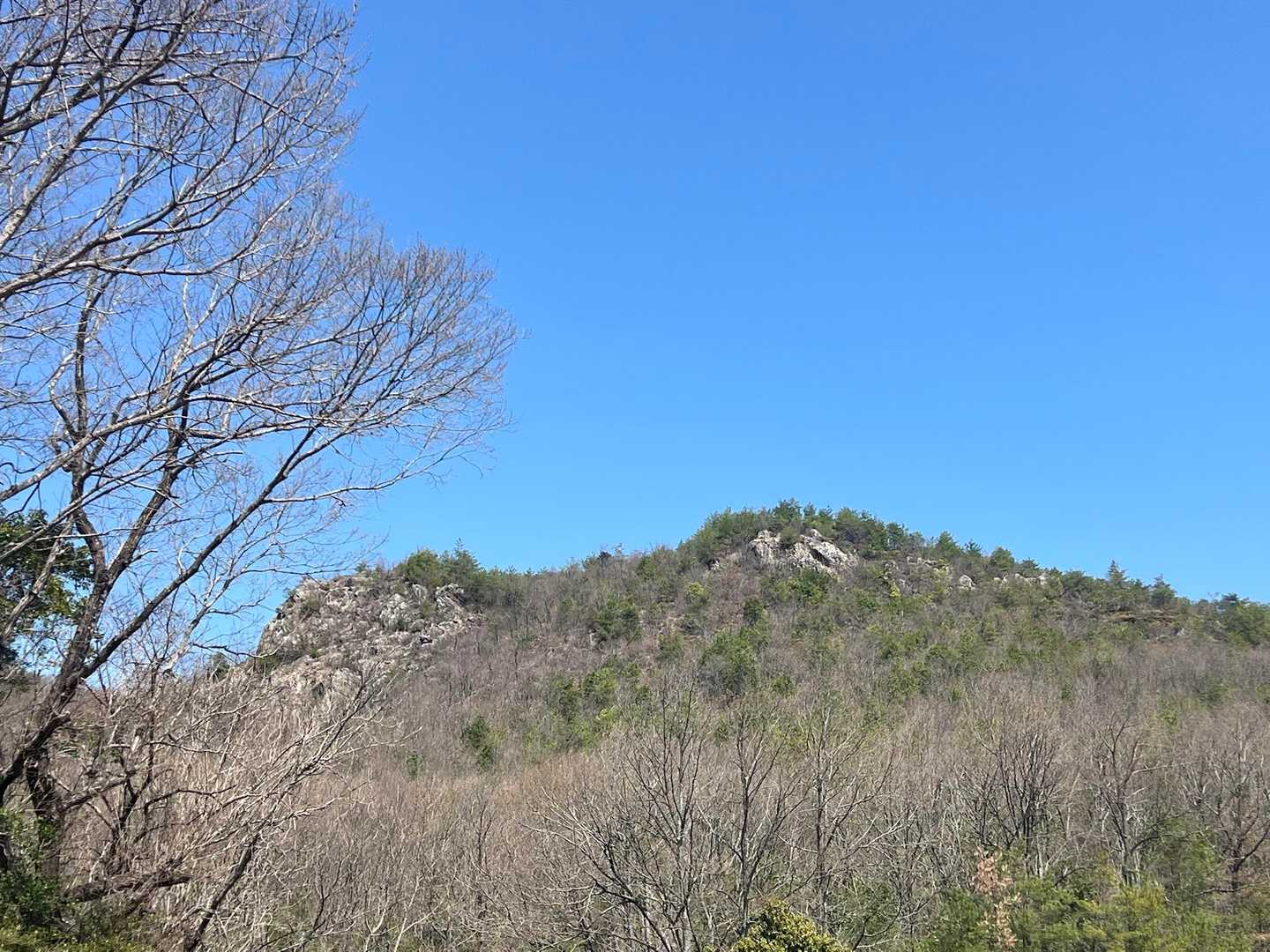 どんぐり三山⛰️
良い所だったね♪って、相方さん喜んでた🥰