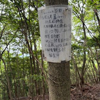 何故かここに貼り紙