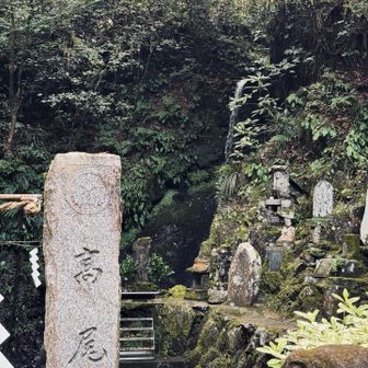琵琶滝です。