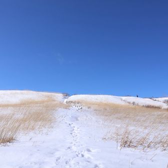 雪景色と青空に
大いにリフレッシュできたよ╰(*´︶`*)╯♡