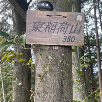 東稲荷山にもいた